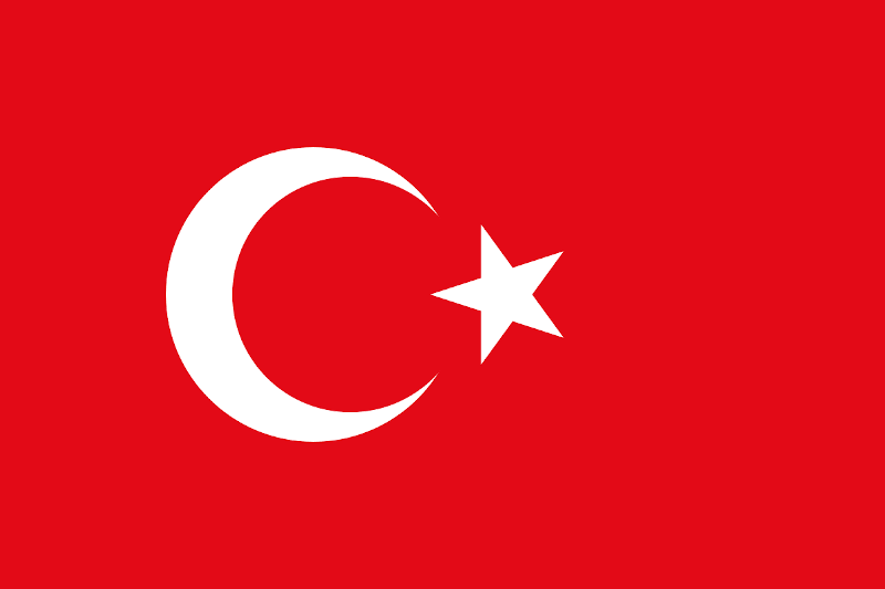 FORMULA 1 DHL TURKISH GRAND PRIX